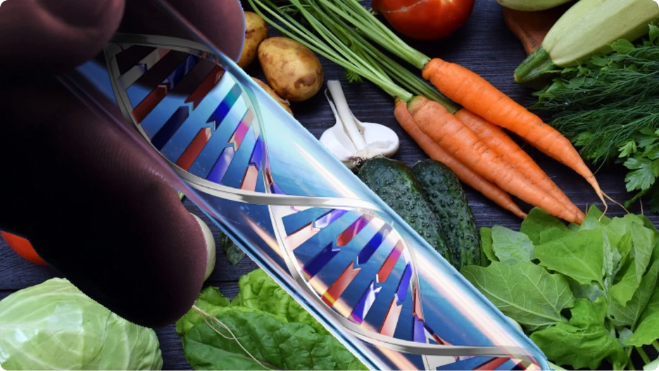 DNA helix model surrounded by fresh vegetables, illustrating the connection between genetics and nutrition.