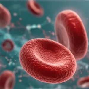 Microscopic illustration of red blood cells flowing through the bloodstream.